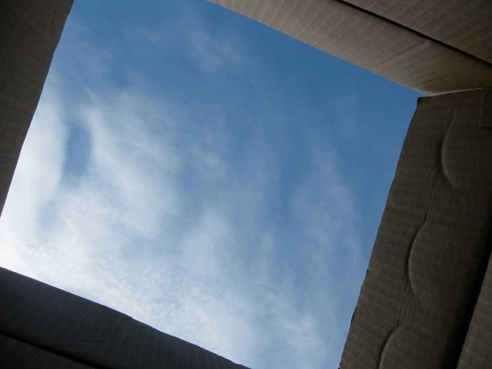 Three Identical Strangers & Sociological Imagination