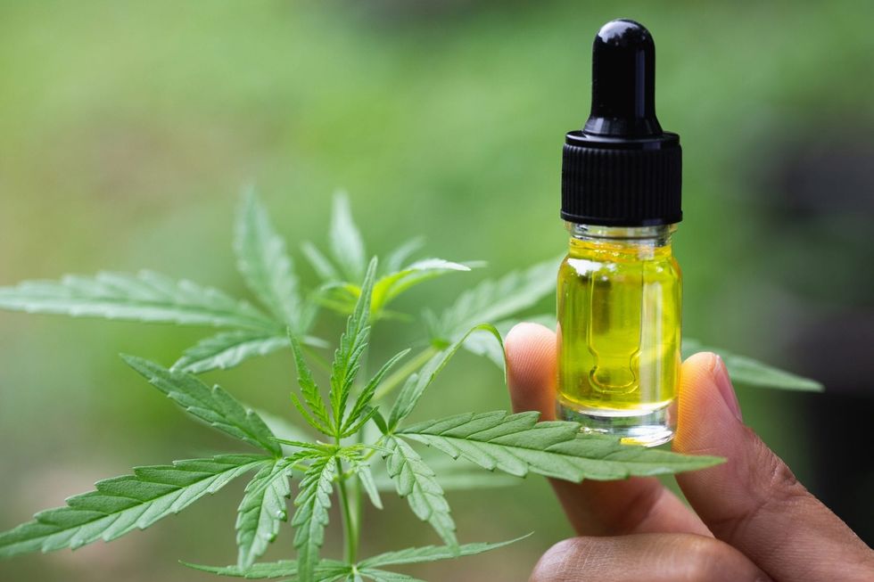 What should you know about CBD oil?