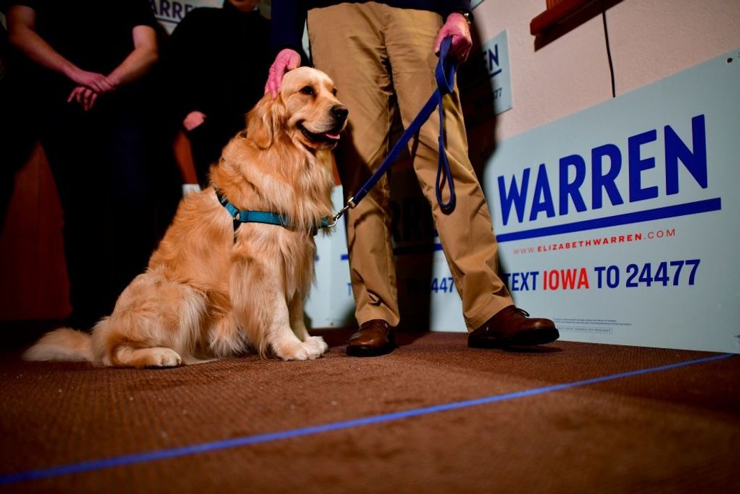 Meet All The Potential First Dogs From The 2020 Presidential Race