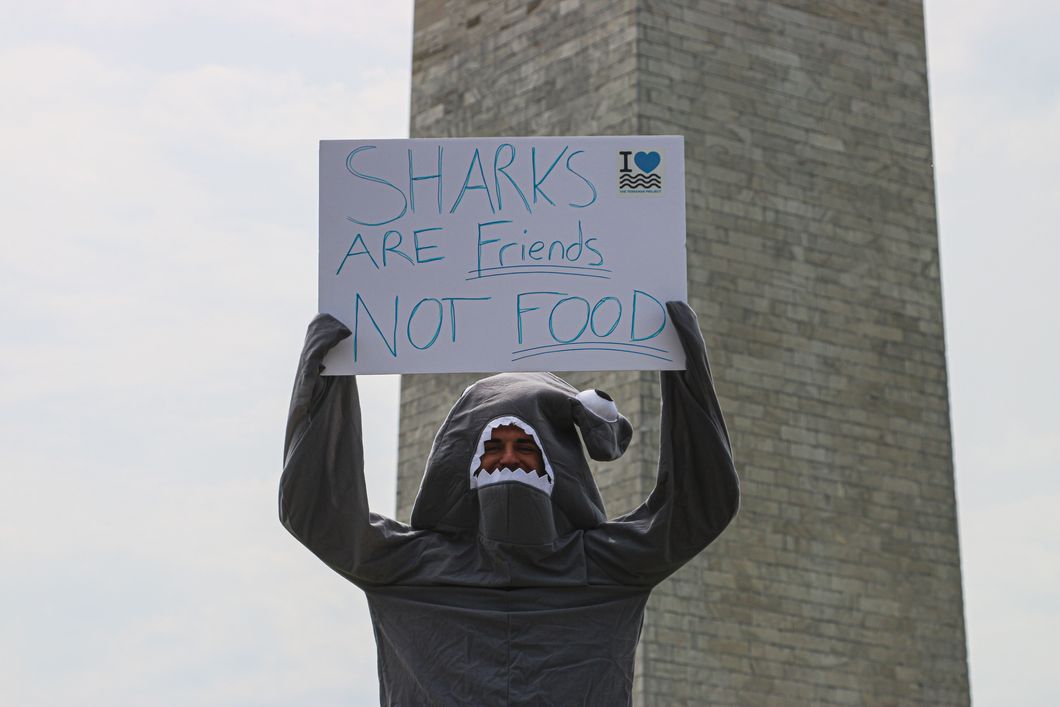 5 Reasons You Should Care About Shark Finning