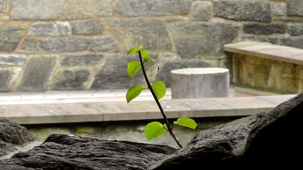 Coming To Terms With My Chronic  Pain Syndrome