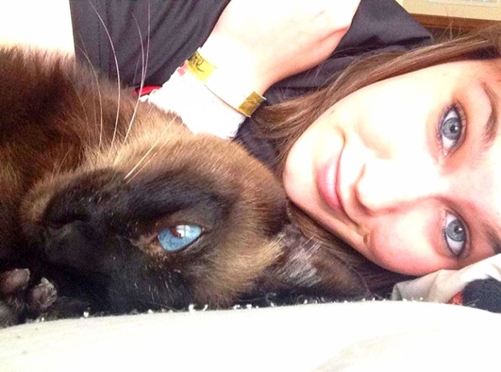 Meet My Cat: Sam, A Siamese Who Lives In Oklahoma City