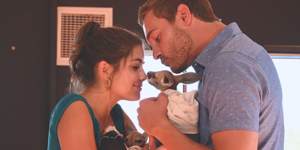 10 Reasons Peter Is TOTALLY Going To Propose To Hannah Ann, Only To End Up With Madison