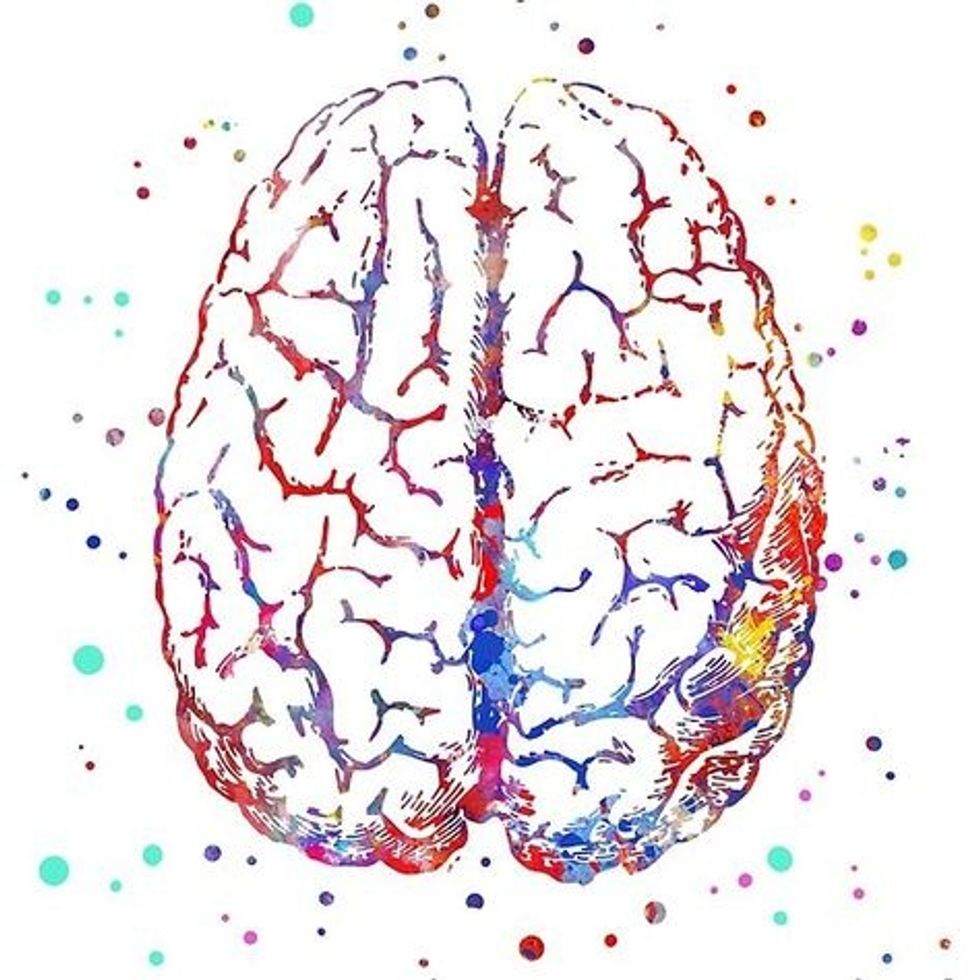 Building a Better Brain | The Odyssey Online