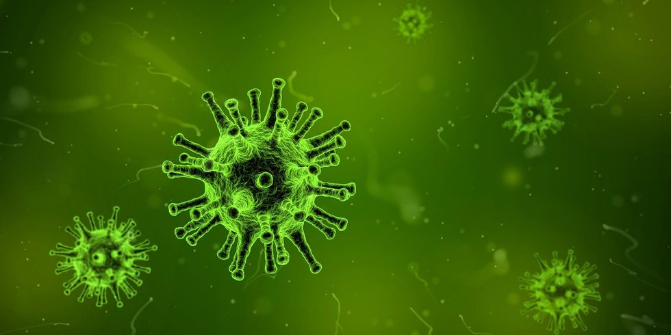 Coronavirus: What You Need To Know