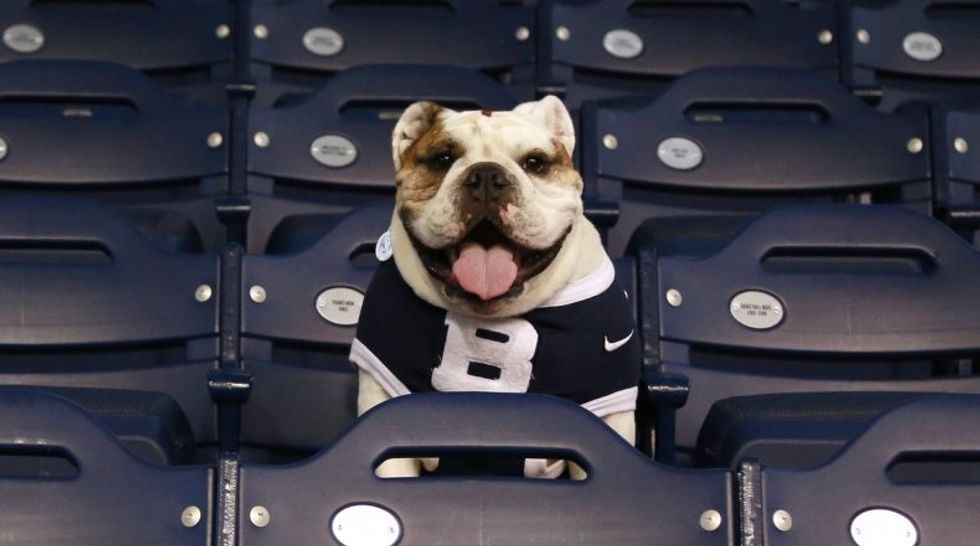 March Madness: Mascot Matchup