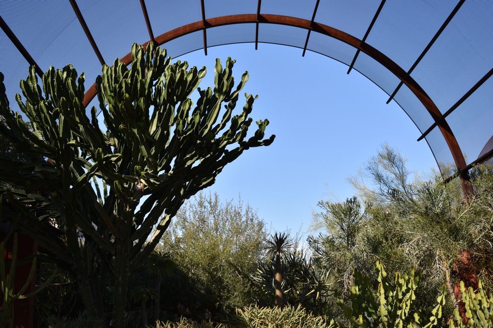 The time is now to battle climate change