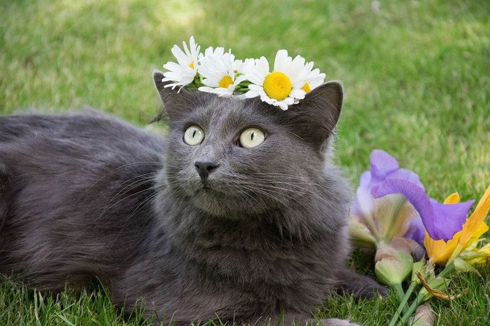 25 Photos Of Cute Animals, Because None Of Us Can Stand More COVID-19 News