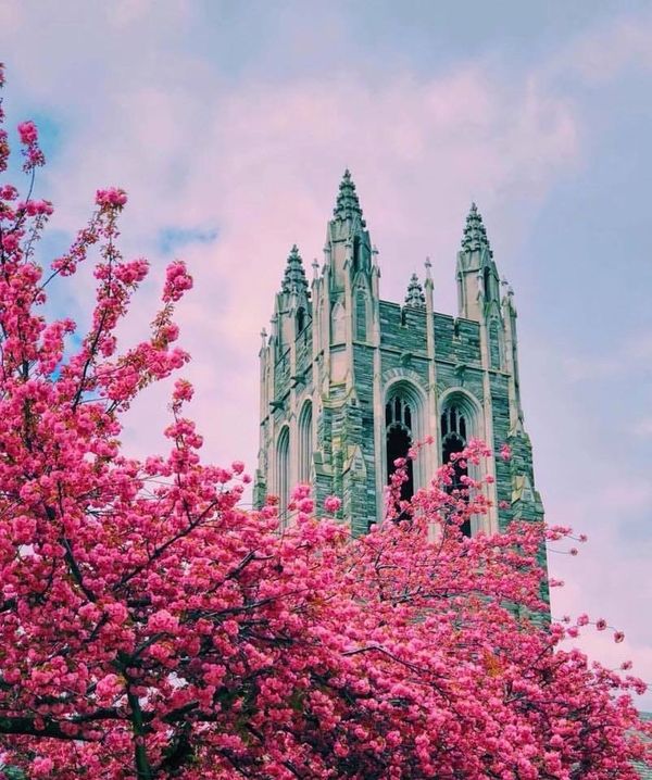 How I, And College Seniors Everywhere, Feel After The Coronavirus Canceled Our Final Semester