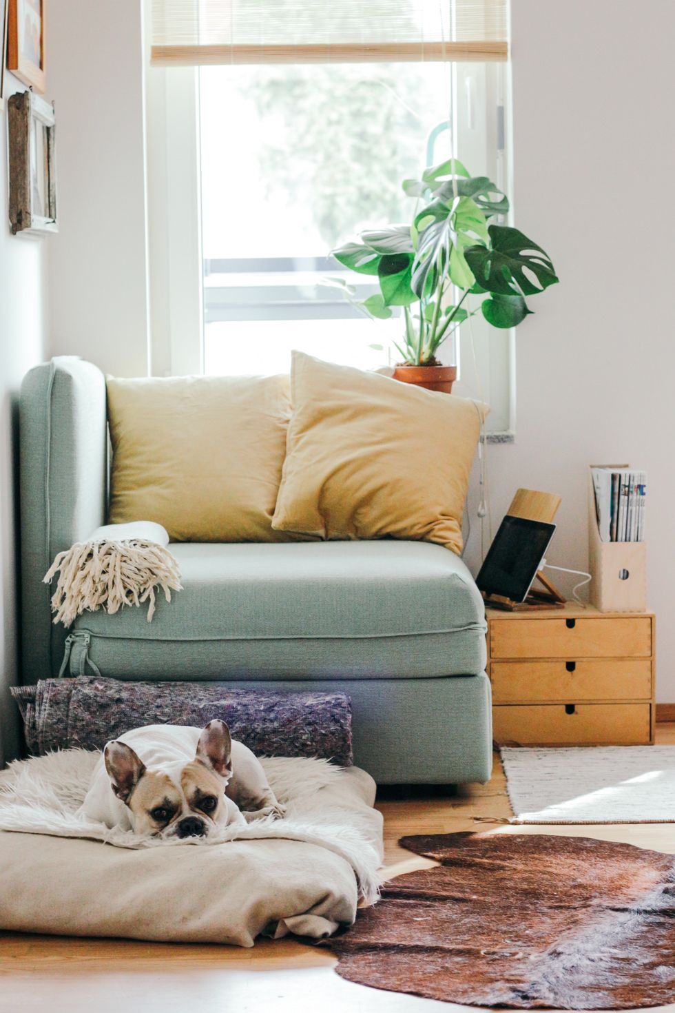 4 Tips for Keeping Your Home Comfortable and Healthy While Working From Home