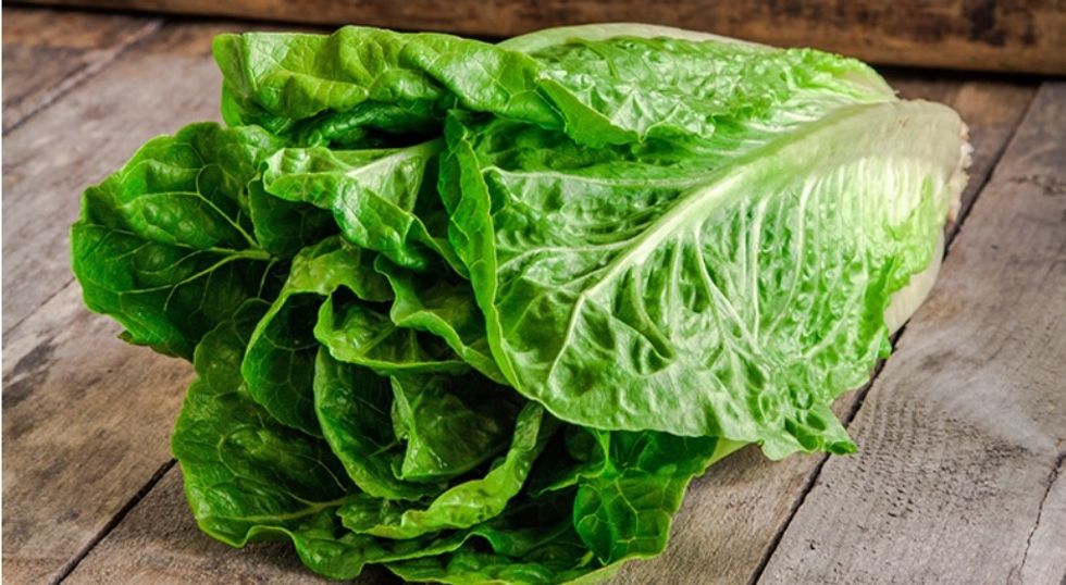 Mistook Luxurious for Necessity