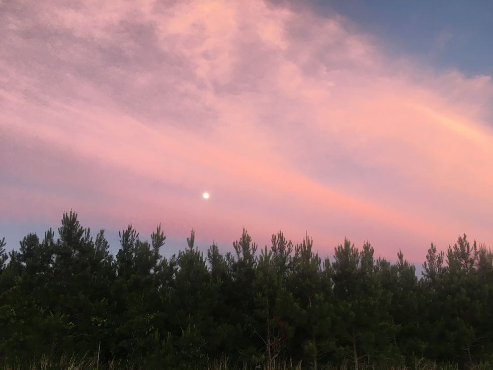 Things To Do While Social-Distancing