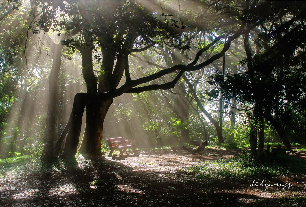 3 Reasons to Spend More Time Outside