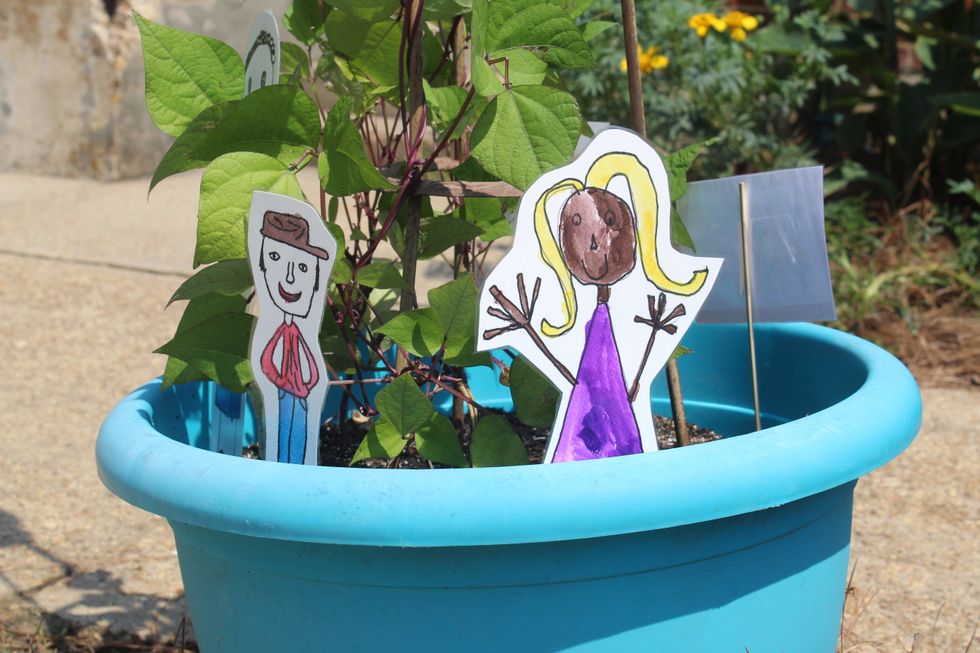 A Letter For The Future