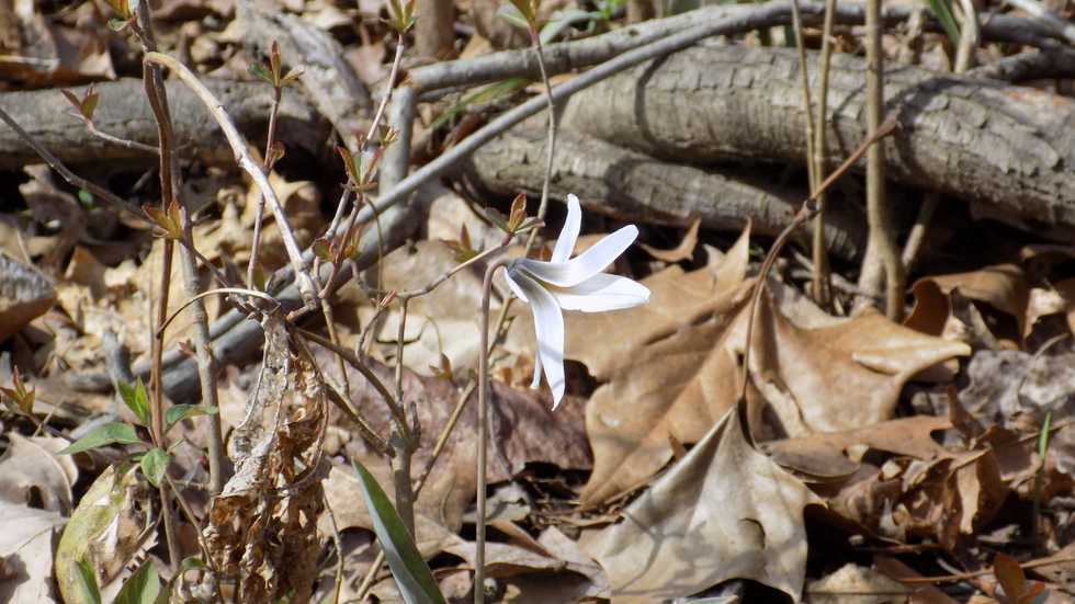 It's okay to not be okay.