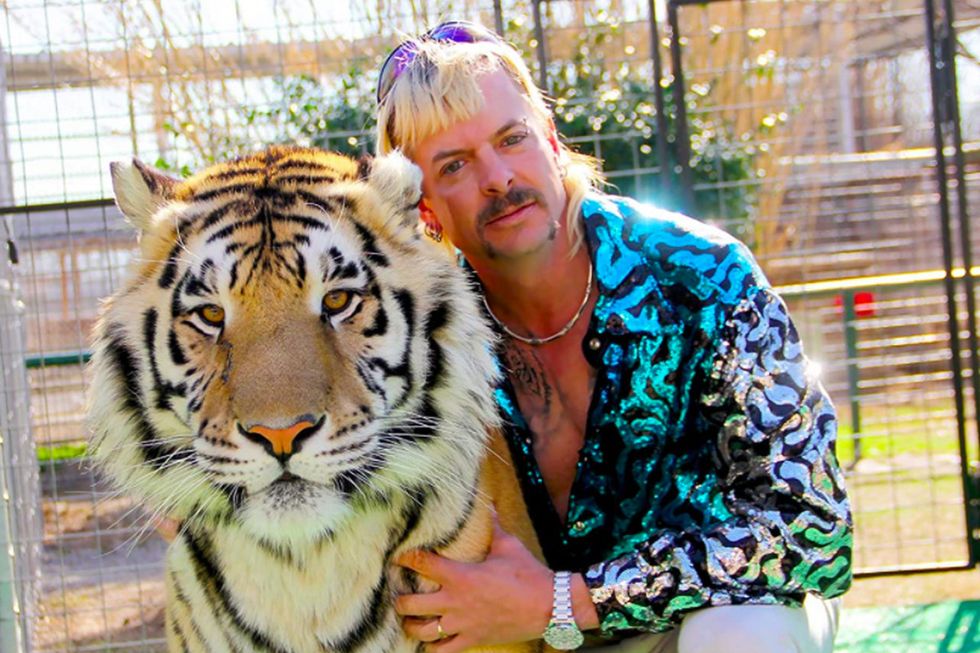 The Best of "Tiger King" Joe Exotic's Wild Music Videos