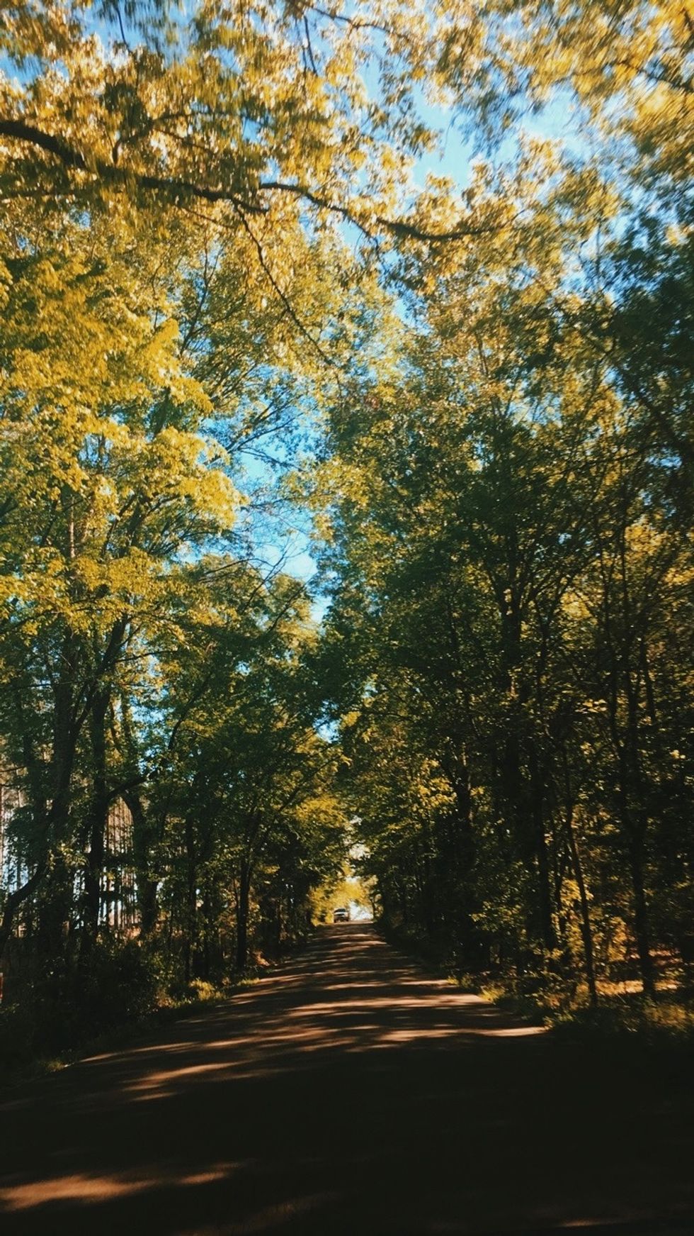 What I've Learned In Three Weeks