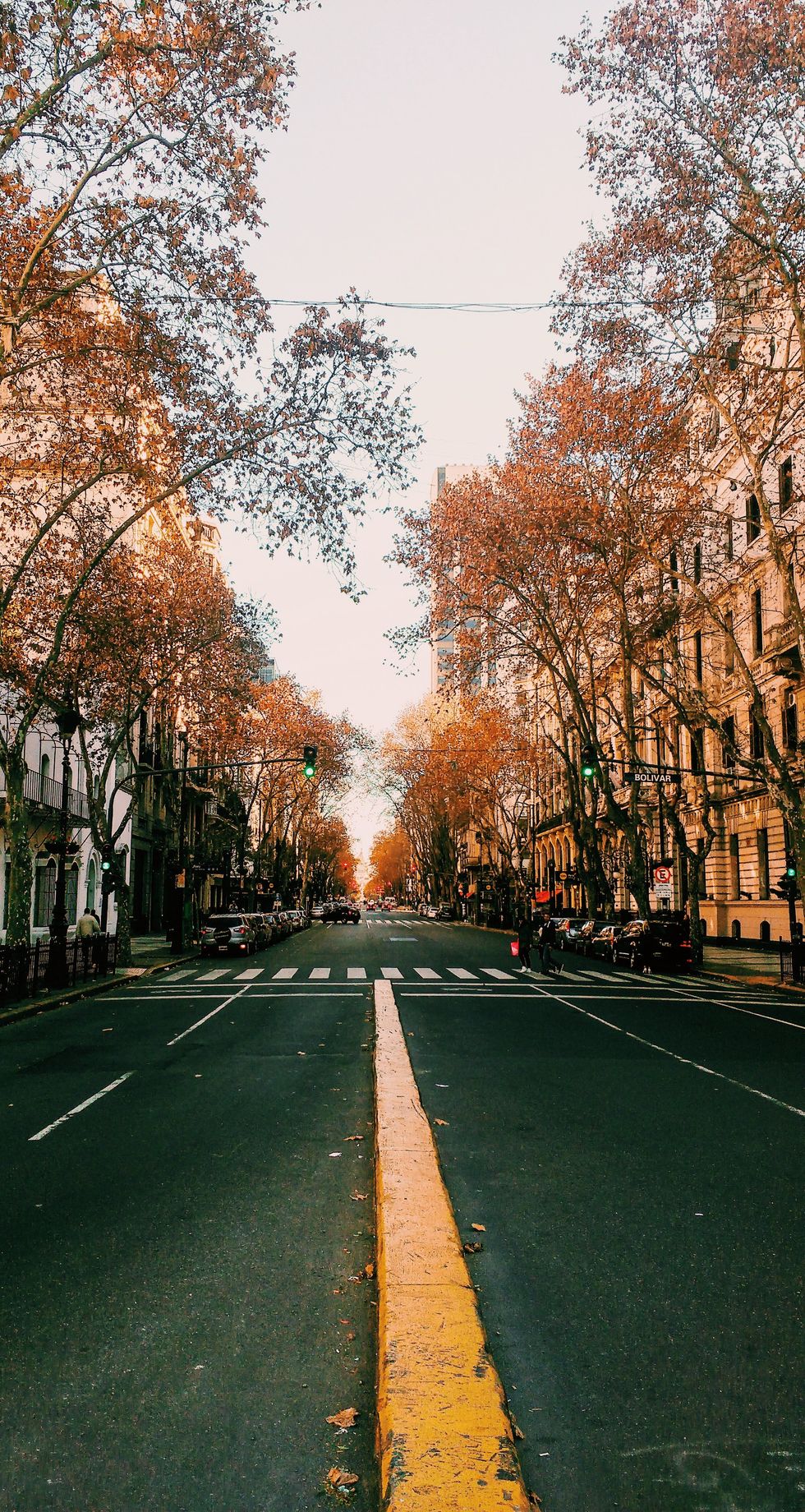 What I miss about the world