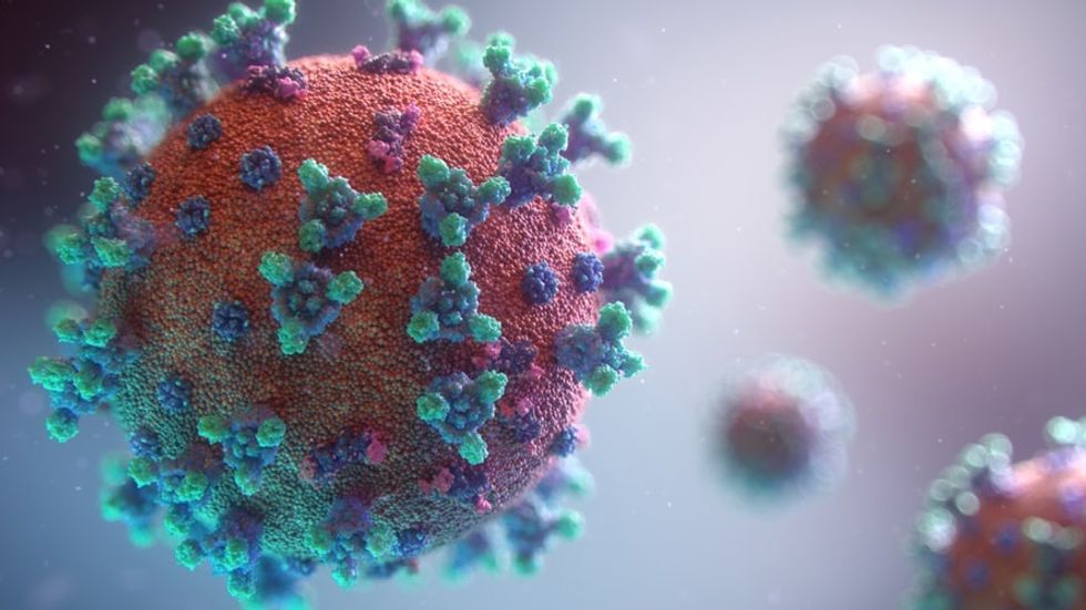 Civil Liberties Around The World Are Under Fire Due to Coronavirus Pandemic