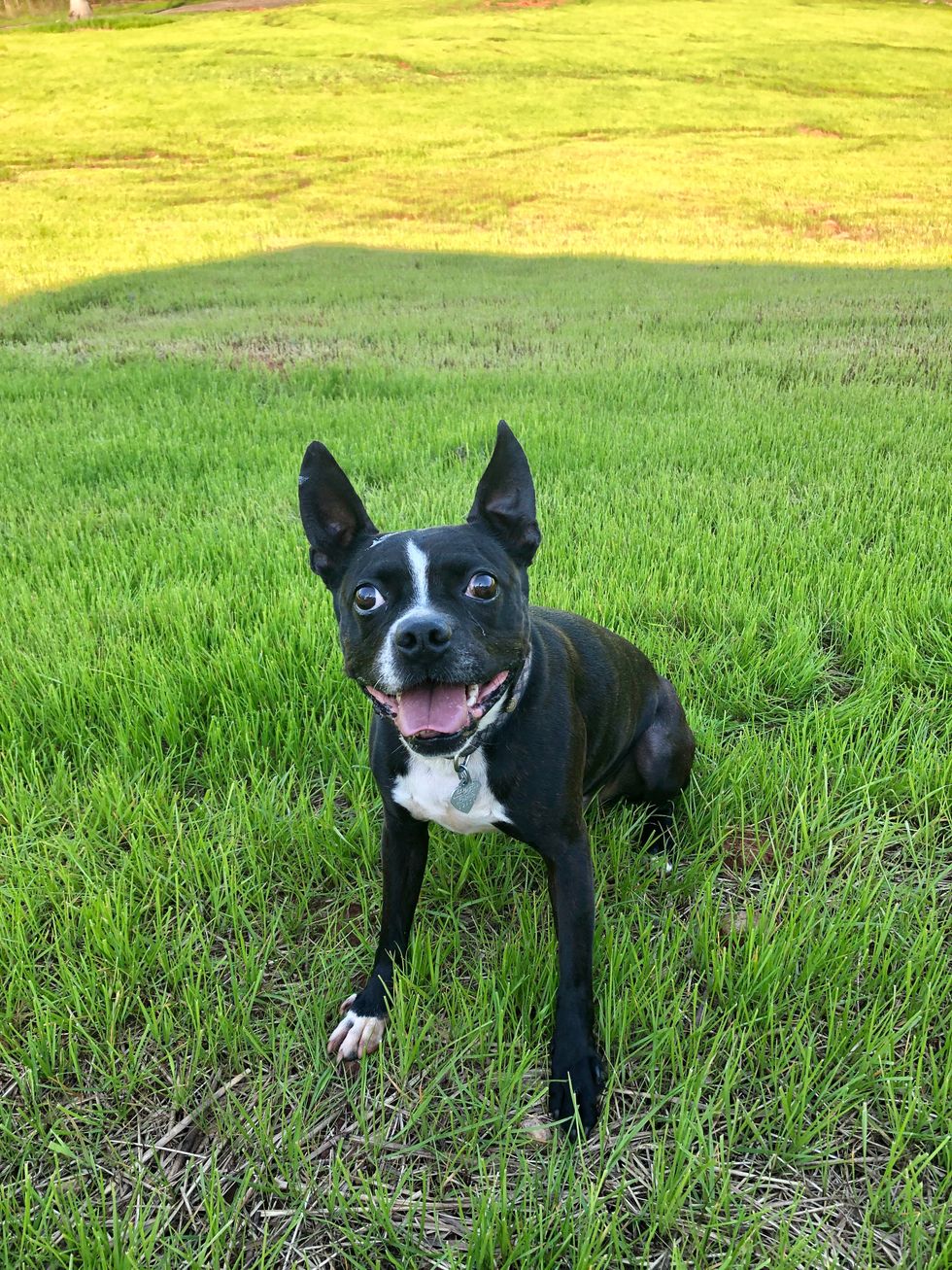 Ya know, I thought my life would be a lot different right now.