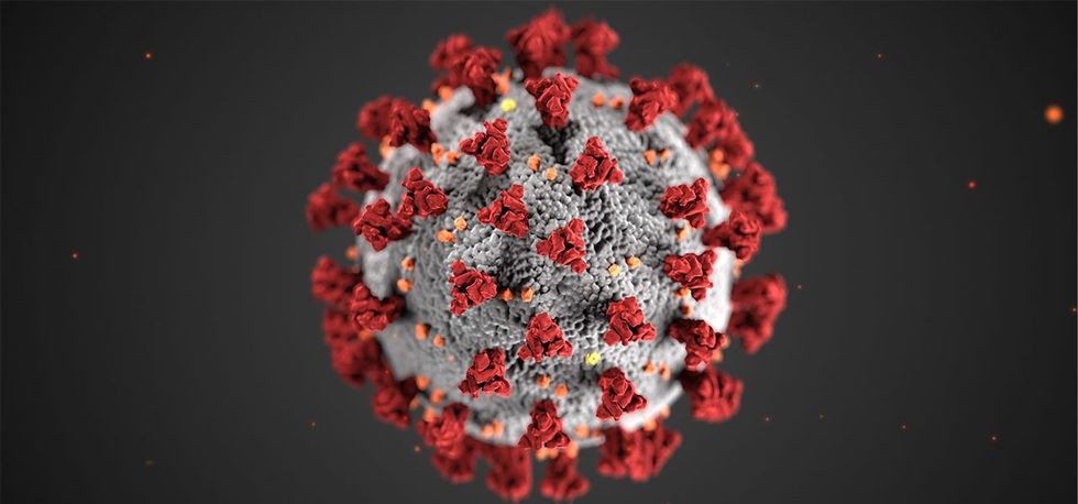 How Coronavirus Affects On TN Visa