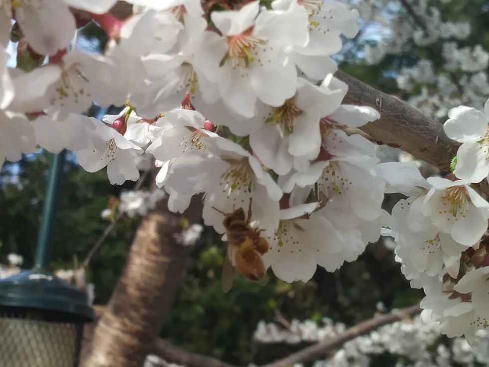 Are we really alone in this quarantine?