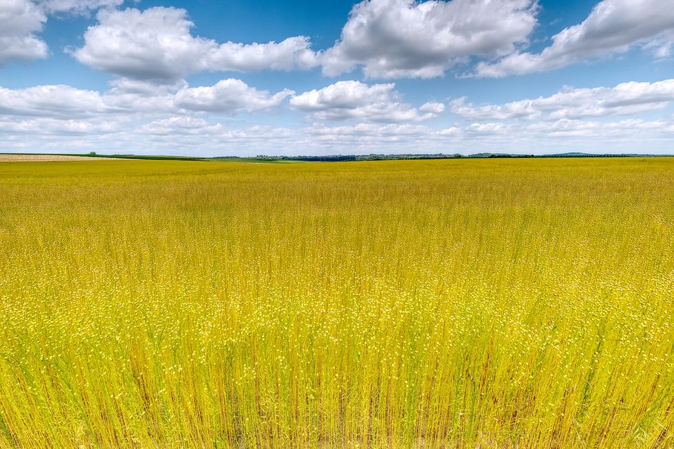 25 Country Songs That Have A Chance Of Making It Bearable For The Ones Who Hate It