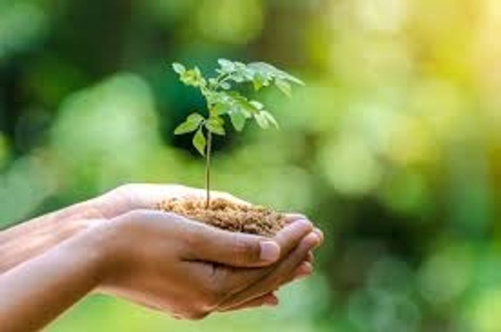 To The World Shaken By Covid-19, Make A Choice