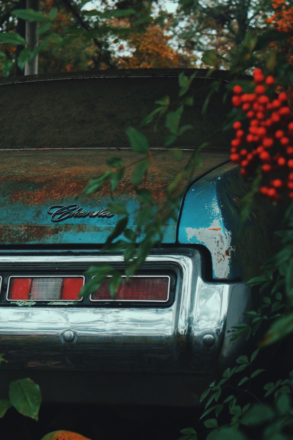 Looking Through The Lens