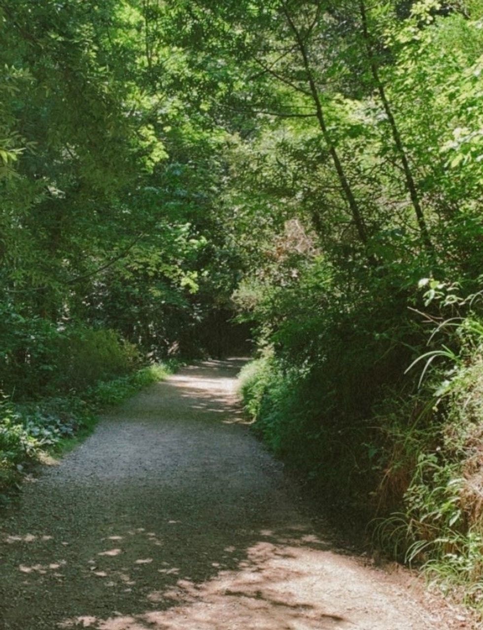 You're Underestimating The Power Of Walking, Especially During The Coronavirus Pandemic