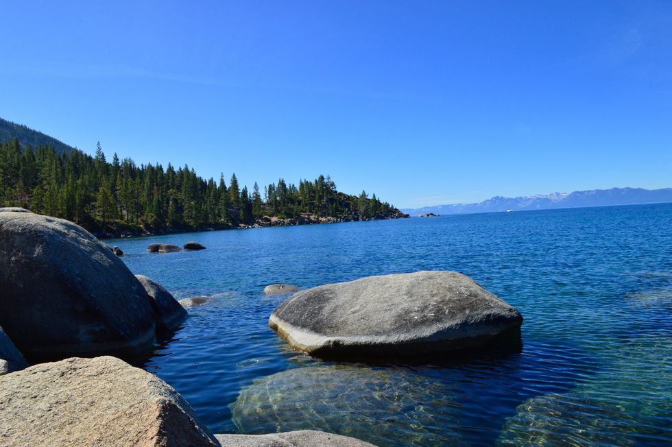 Forget What They Told You - You Can Do Anything