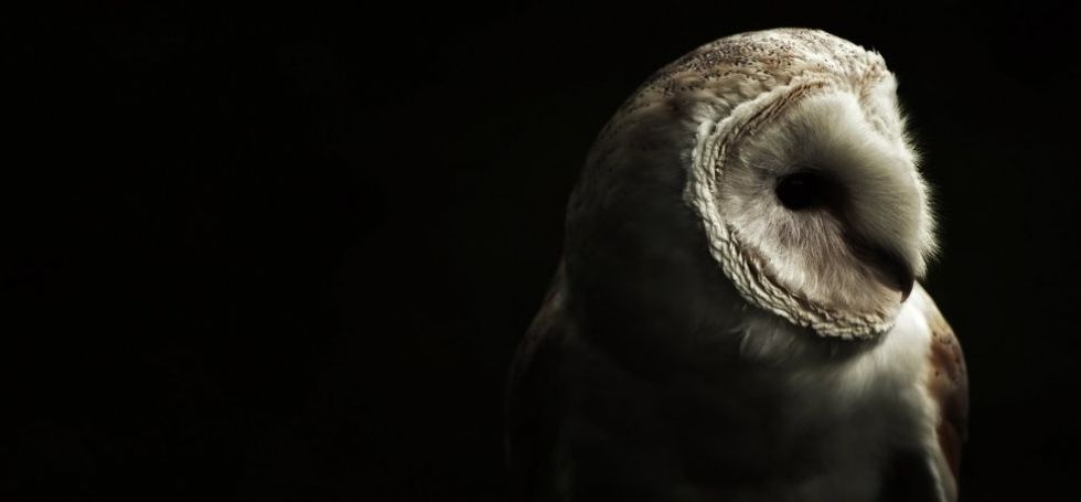 Why Being a Night Owl is Bad For Your Mental Health