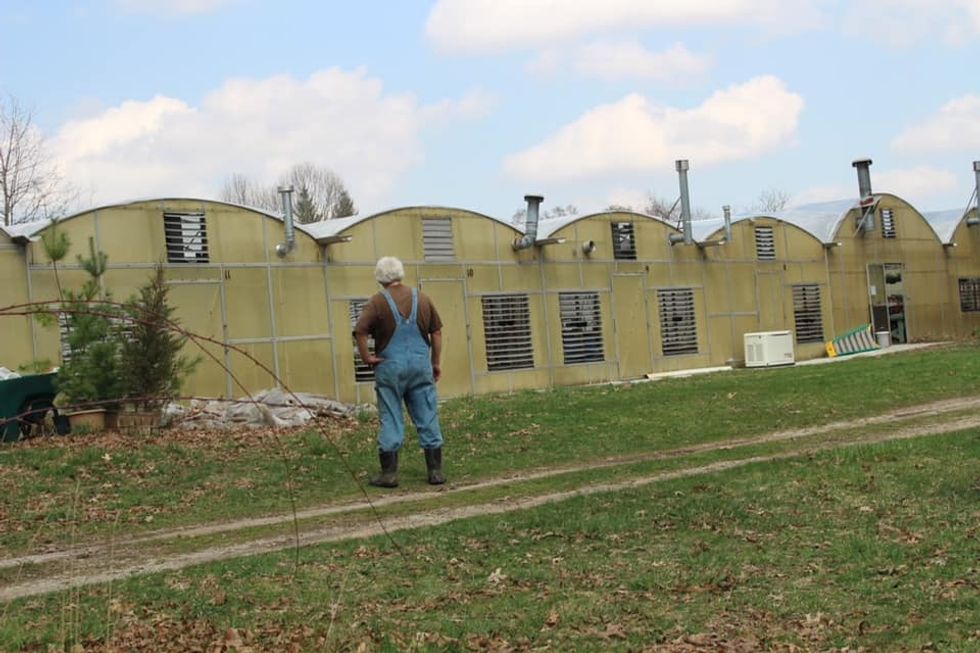 Bernacchi's Greenhouses Go Virtual