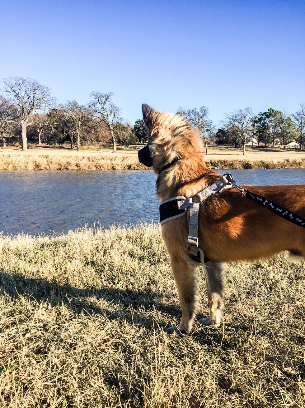 7 Mental Benefits Of Staying Active