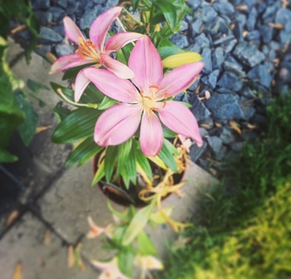 I Regret Picking My Boyfriend Over The Love Of My Life