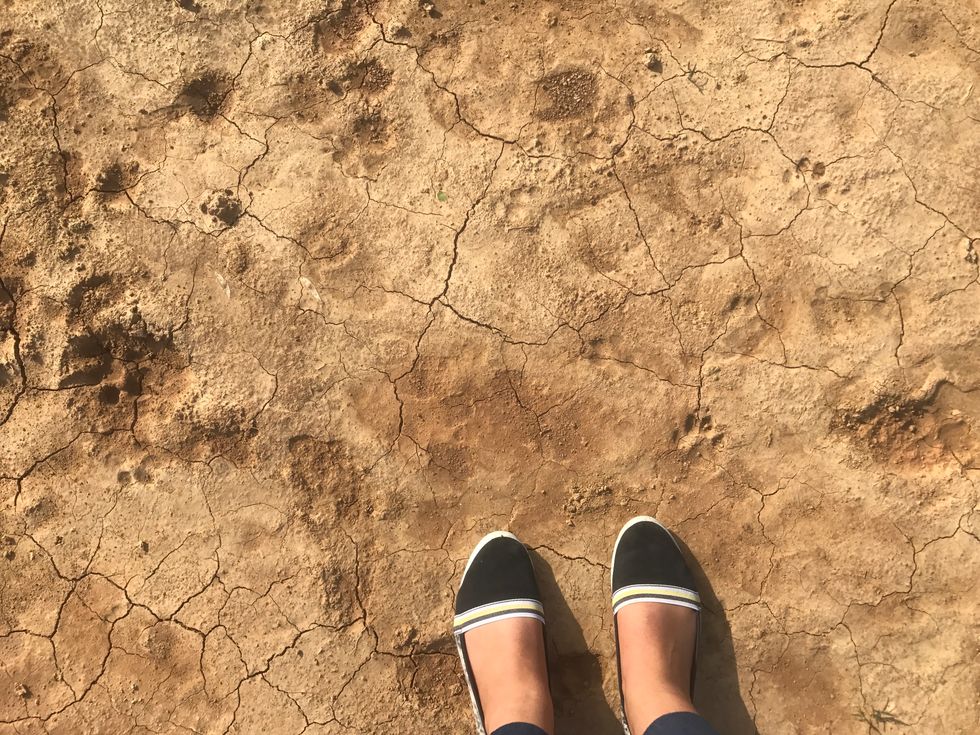 Why Have We Become So Numb?