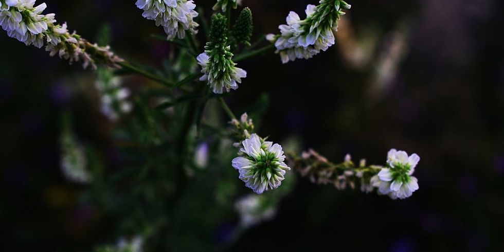 15 Quotes About Self-Growth During A Time of Uncertainty