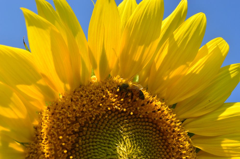 21 Life Lessons Every 21-Year-Old Can, And Should, Relate To