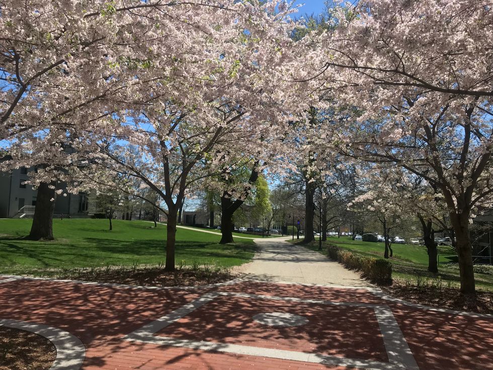 For The Rising Providence College Freshman