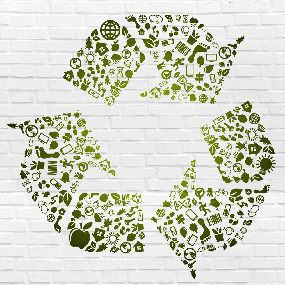 10 Small Changes You Can Make To Help The Environment