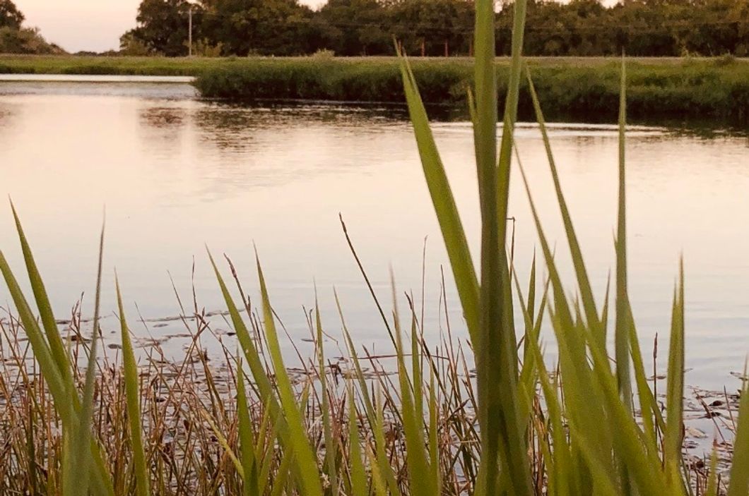 The Art Of Cane Poles