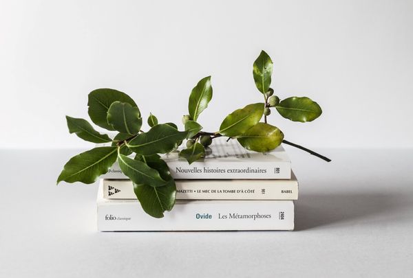 10 Books Everyone Seeking Inspiration Needs To Read In Summer 2020