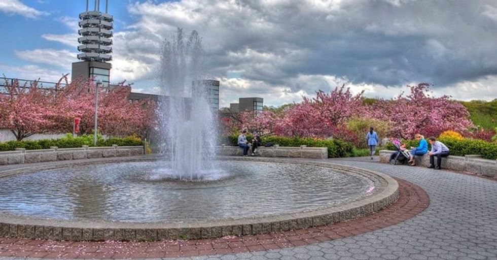 To The Incoming Stony Brook University Freshman, Here Are 25 Resources To Take Advantage Of