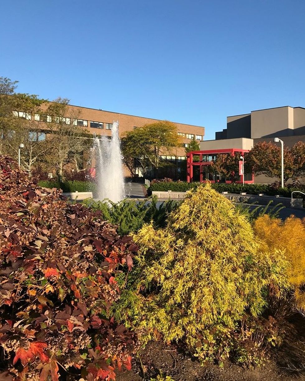 The ABCs Of Stony Brook University