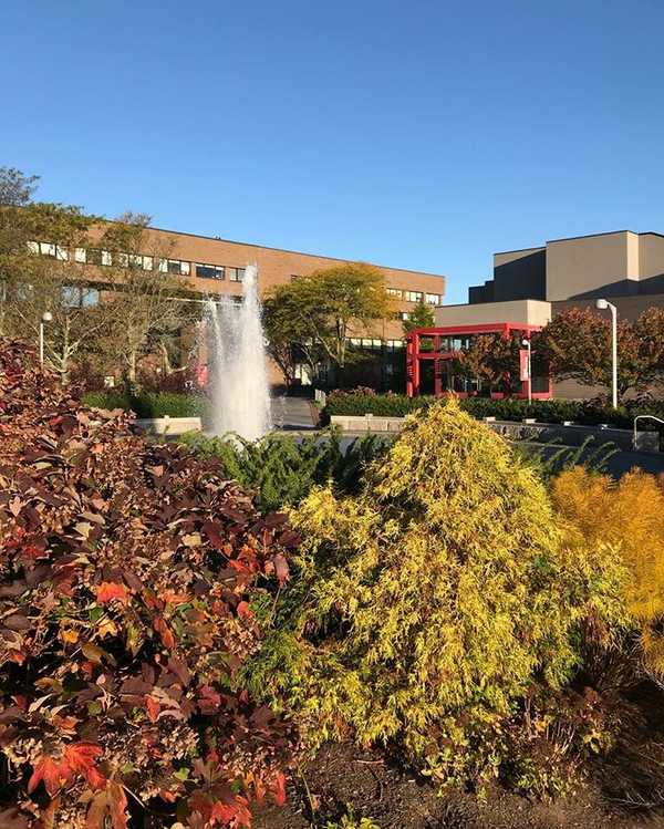 The ABCs Of Stony Brook University