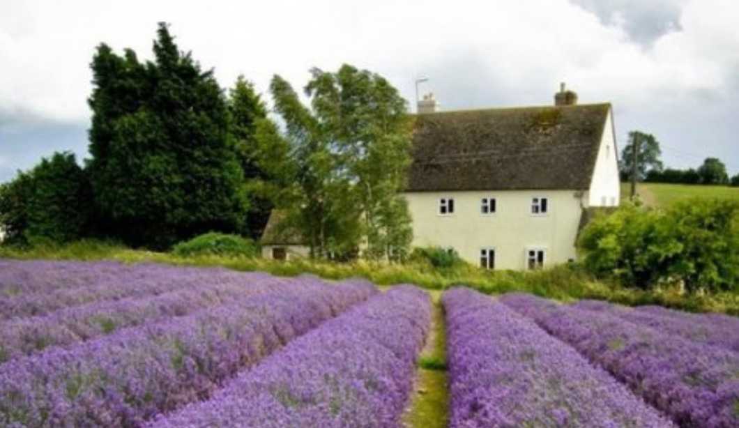 Brian Weiss's Past Life Regression Session And My Experience