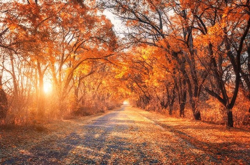 5 Activities You Need to Do This Fall