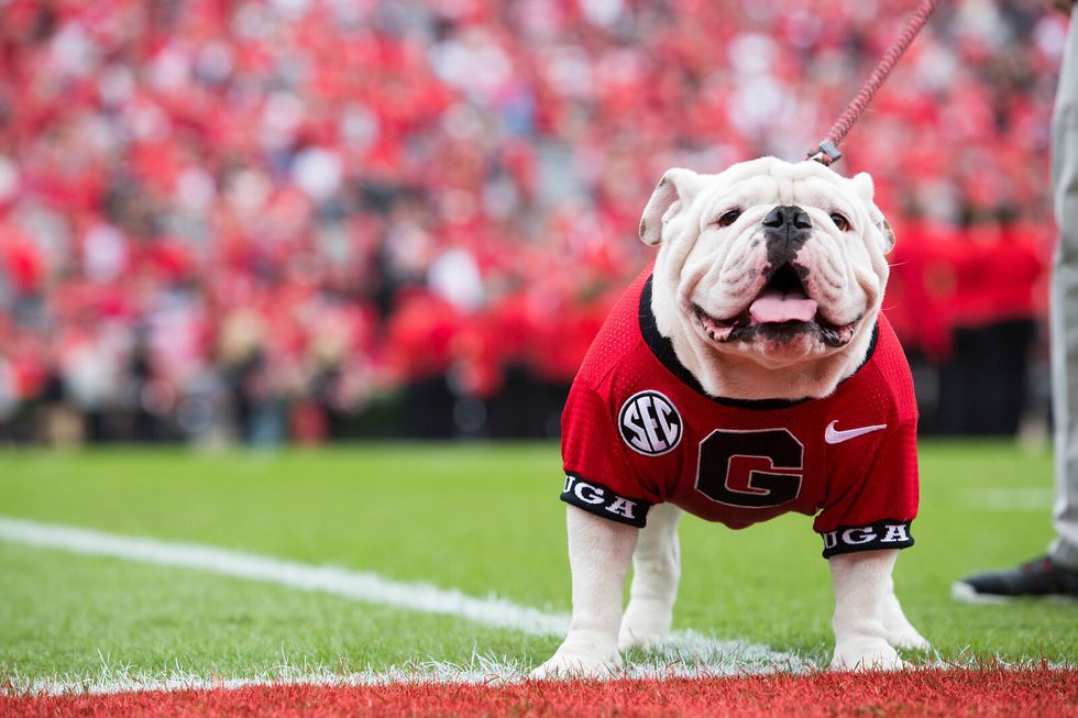 Preseason College Football: Mascot Rankings