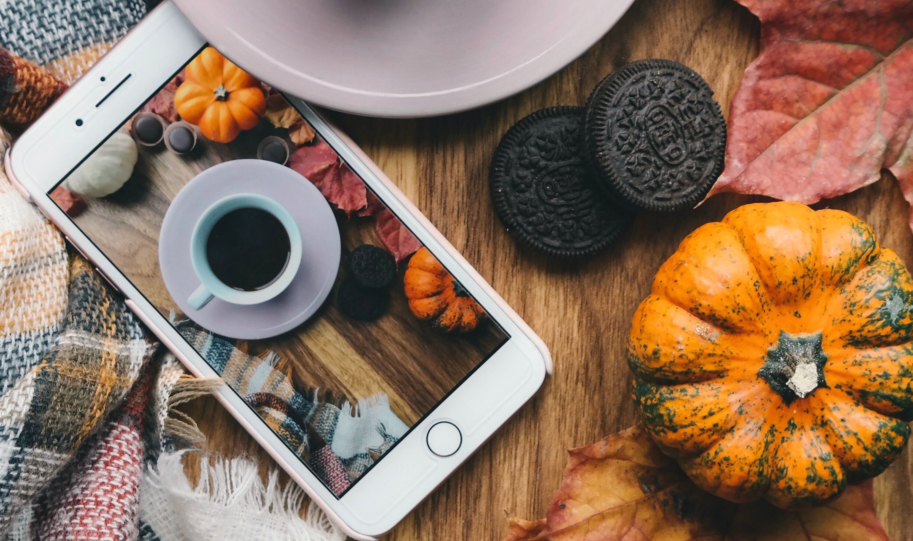 25 Reasons Why Fall Is The Best Season