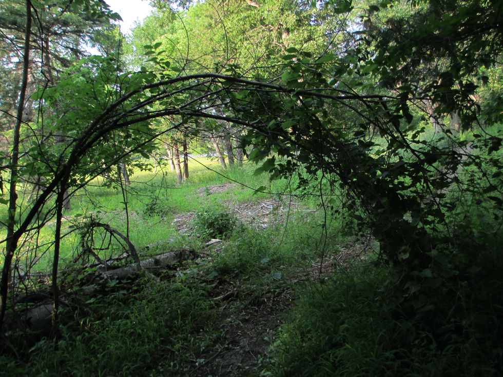 We Need Human Rights